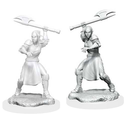 Critical Role Unpainted Miniatures - Half-Elf Echo Knight and Echo (90379)