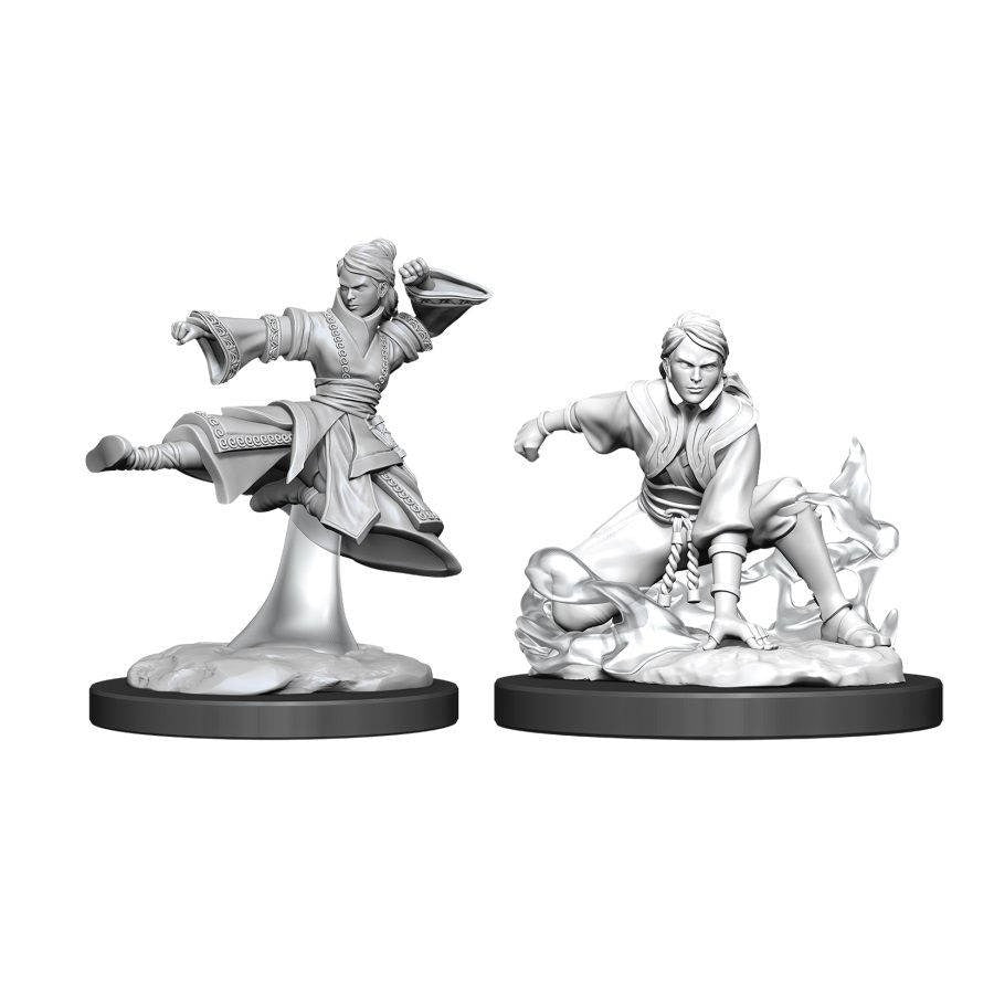 D&D Miniatures - Female Human Monk (90008)