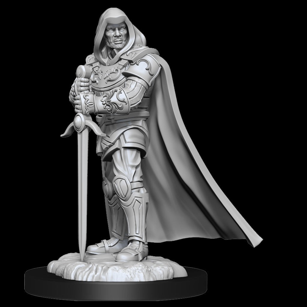 D&D Miniatures - Human Paladin (90136)