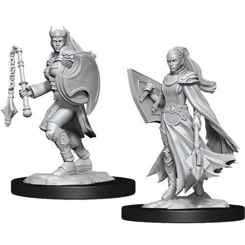 D&D Miniatures - Kalashtar Cleric (90233)