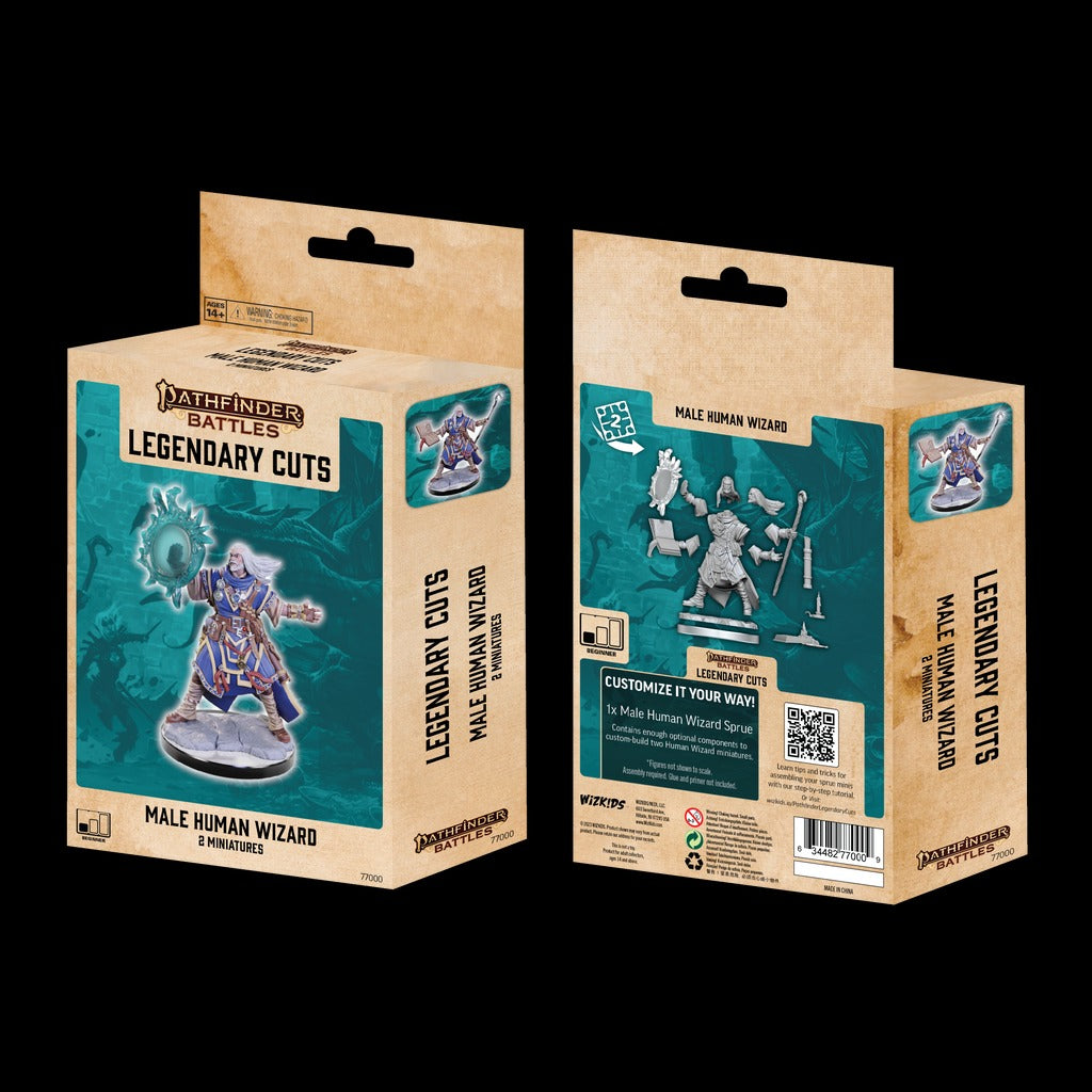 Pathfinder Deep Cuts - Male Human Wizard