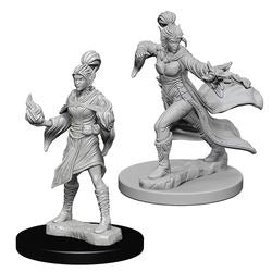 Pathfinder Miniatures - Elf Female Sorcerer (72606)