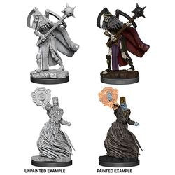 Pathfinder Miniatures - Liches (73415)