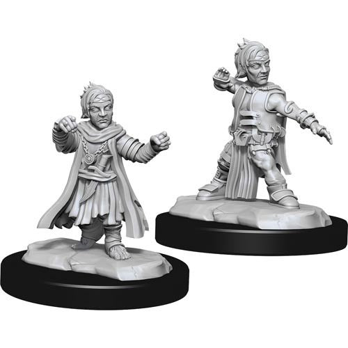 Pathfinder Miniatures - Male Halfling Monk