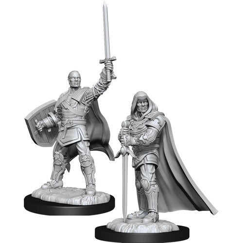 D&D Miniatures - Human Paladin (90136)