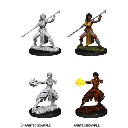 D&D Miniatures - Female Half -Elf Monk (73839)