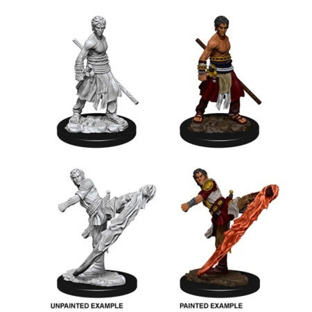 D&D Miniatures - Male Half -Elf Monk (73838)