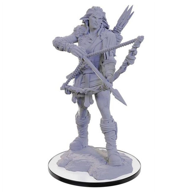 Pathfinder Miniatures - Wood Giant (90688)