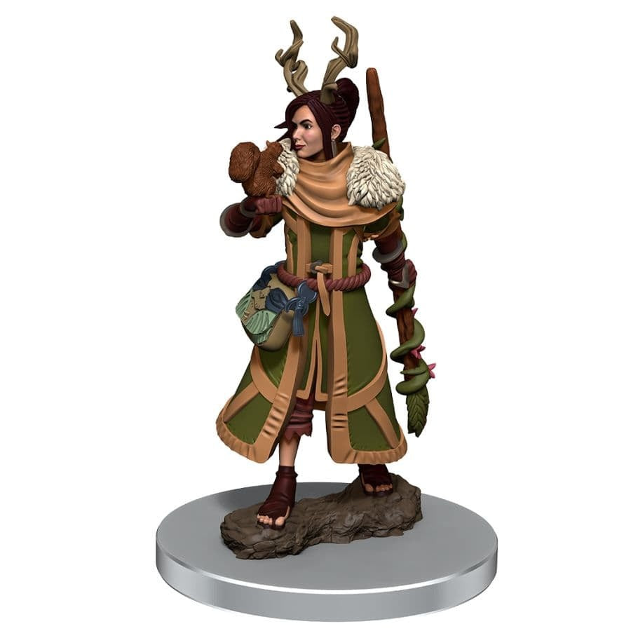 D&D Premium Miniature - Human Druid (93054)