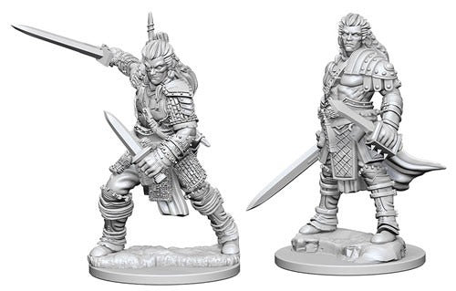 Pathfinder Miniatures - Human Male Fighter (72596)