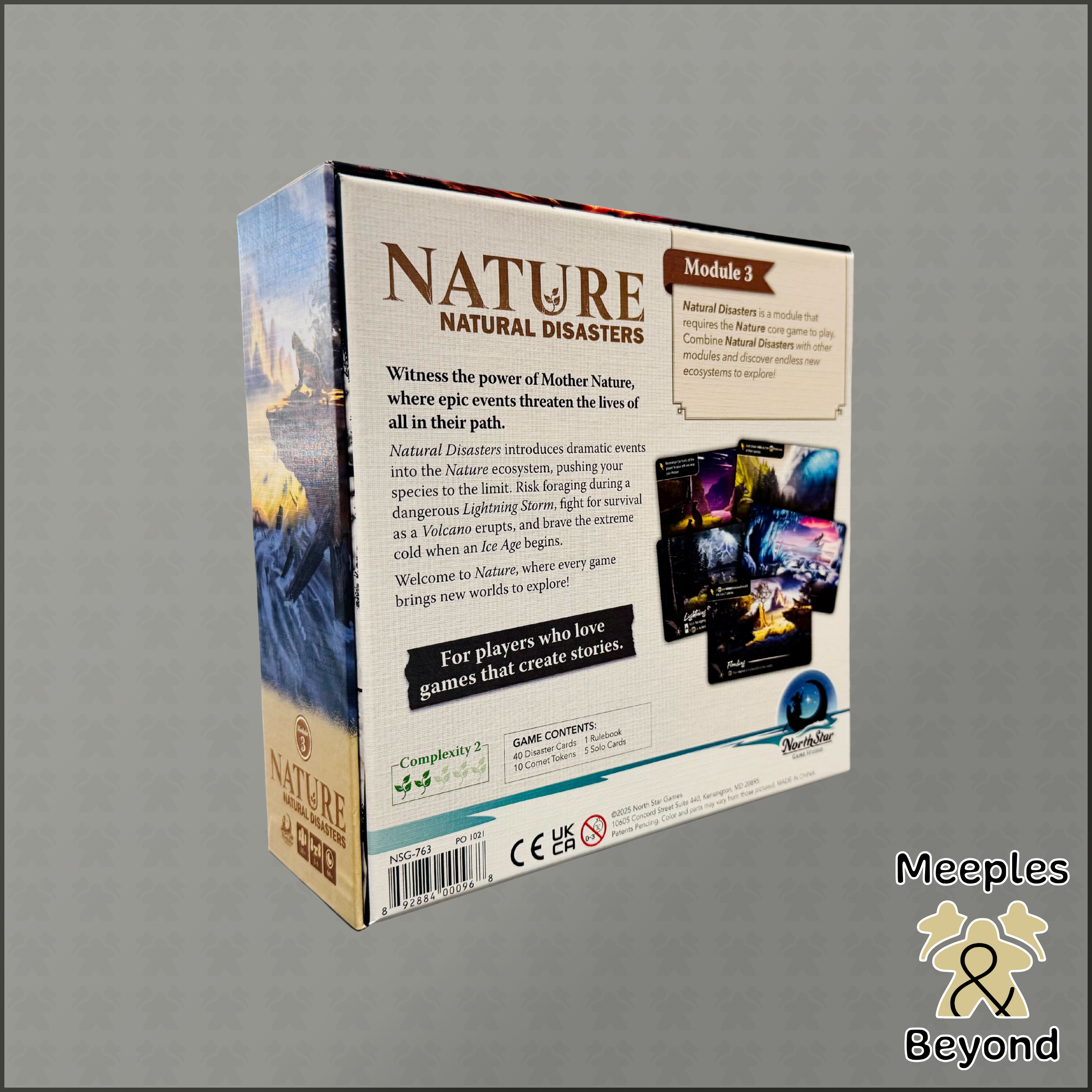 Nature - Module 3: Natural Disasters Expansion