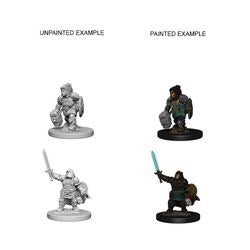 D&D Miniatures - Dwarf Paladin (72631)